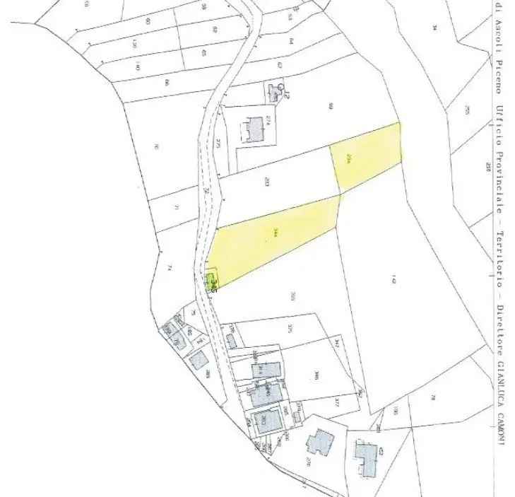 Vendita terreno agricolo di 4.200 m² in Ascoli Piceno (63100) - 116217 - iad