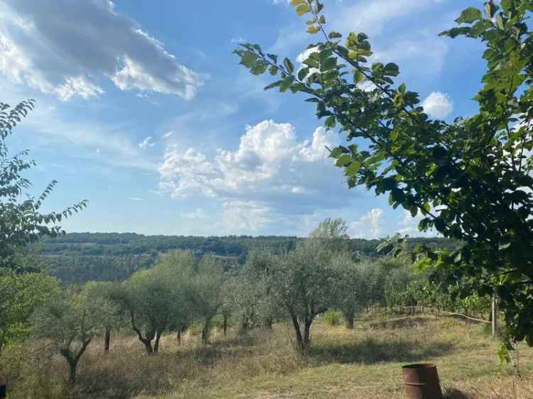 Casale Località Vallicelle, Penna in Teverina