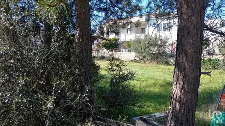 Vendita terreno di 623 m² in Telti (07020) - 133179 - iad