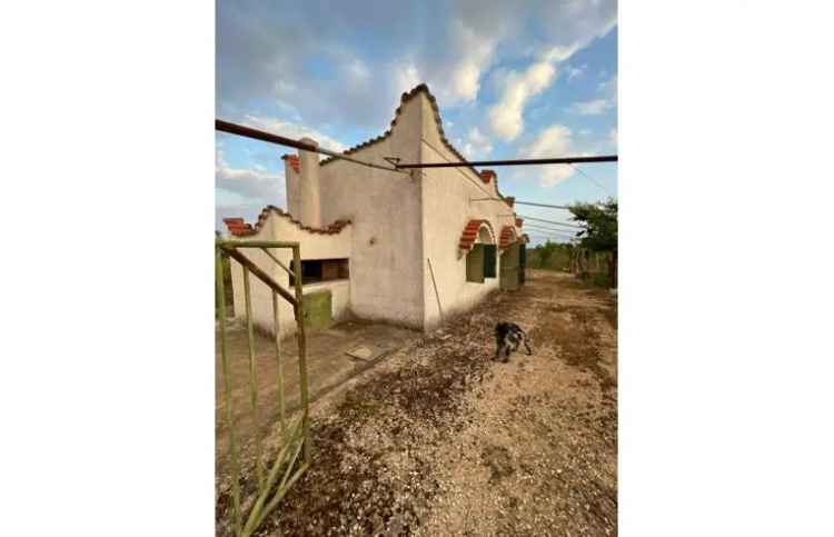 Terreno Agricolo/Coltura in vendita a Sava, SP118 2