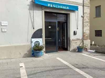 Negozio in Vendita, 2 Locali, 45 mq, San Giustino - San Giustino - Case altro Perugia