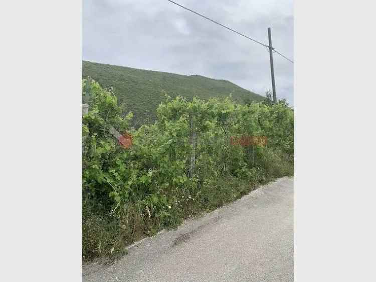 Terreno non edificabile in vendita  a Camigliano