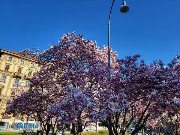 Appartamento In Affitto in Milano, Lombardia