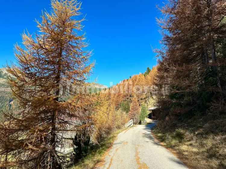 Casa colonica, buono stato, 129000 m², Sarentino