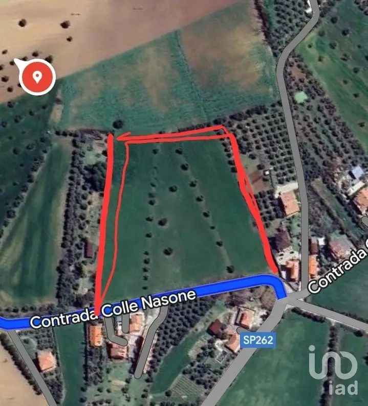 Vendita terreno di 13.000 m² in Mosciano Sant'Angelo (64023) - 126365 - iad