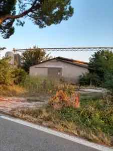 Terreno Edificabile 4525 mq Cittadella - Investimento