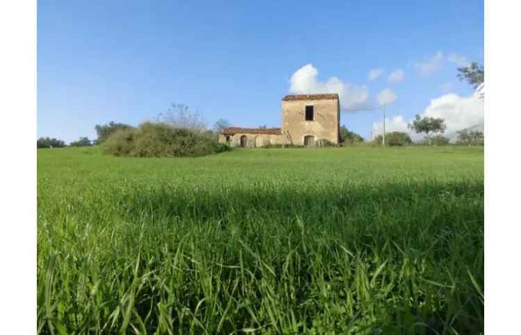 Rustico/Casale in vendita a Santa Domenica Talao